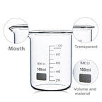 HAIJU Borosilicate Glass Beaker – Low Form, Graduated with Spout | 100ml