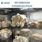 200L Laboratory Steam Autoclave – Steriliser for Lab Use