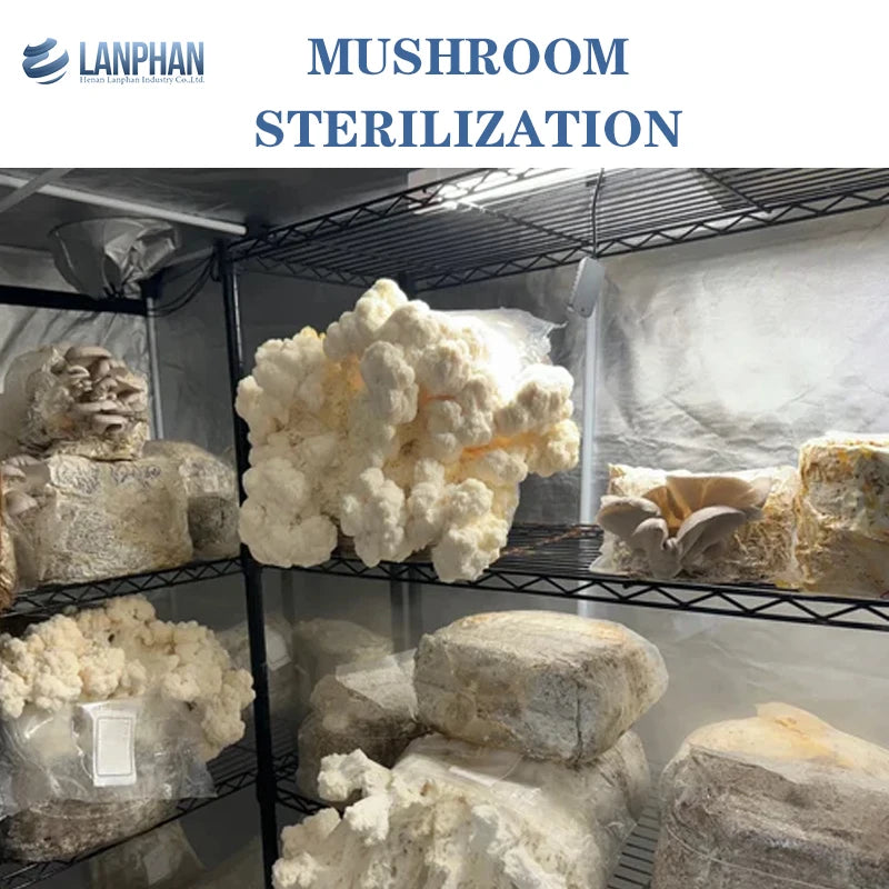 200L Laboratory Steam Autoclave – Steriliser for Lab Use